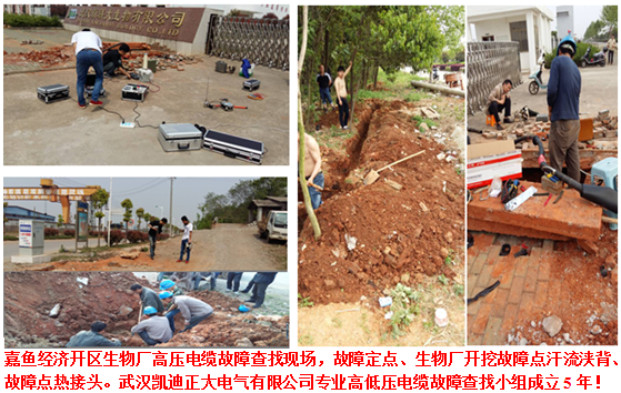 91视频18岁入口检测