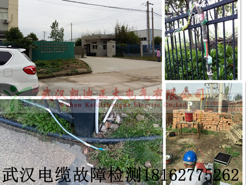 1461582490136981.jpg 武汉91视频18岁入口检测.jpg